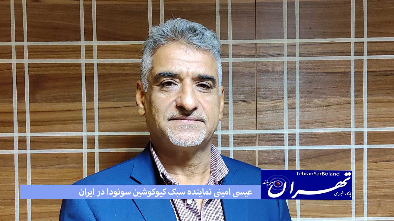 امینی: با پیگیری های لازم در صدد کسب مجوز رسمی سبک هستیم