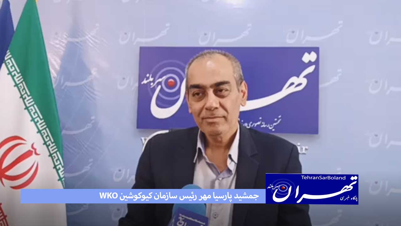 پارسیا مهر: چون قانون نقص دارد/مدیران فدراسیون سلیقه ای عمل می کنند