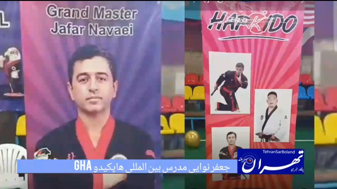 جعفر نوایی از حضور و تدریس در سمینار بین‌المللی هاپکیدو GHA قرقیزستان بازماند؛ پروازهای لغو شده، مانع حضور مدرس بین‌المللی ایرانی شد