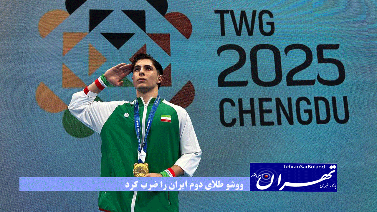 بازیهای جهانی چنگدو| طلای بیست و چهار عیار شاهین در سرزمین اژدها/ ووشو طلای دوم ایران را ضرب کرد