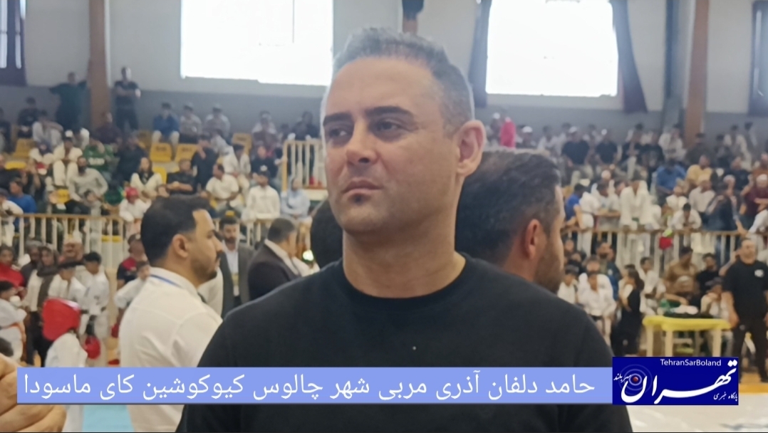 حامد دلفان نظری