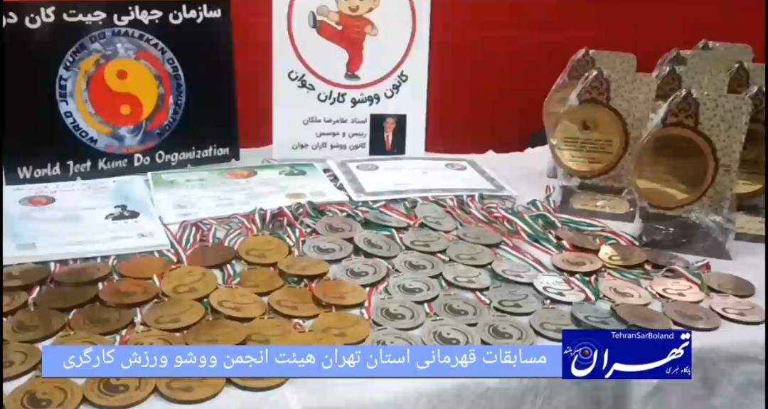 تجلی توان ووشو کاران تهرانی در مسابقات هنرهای فردی و دفاع شخصی