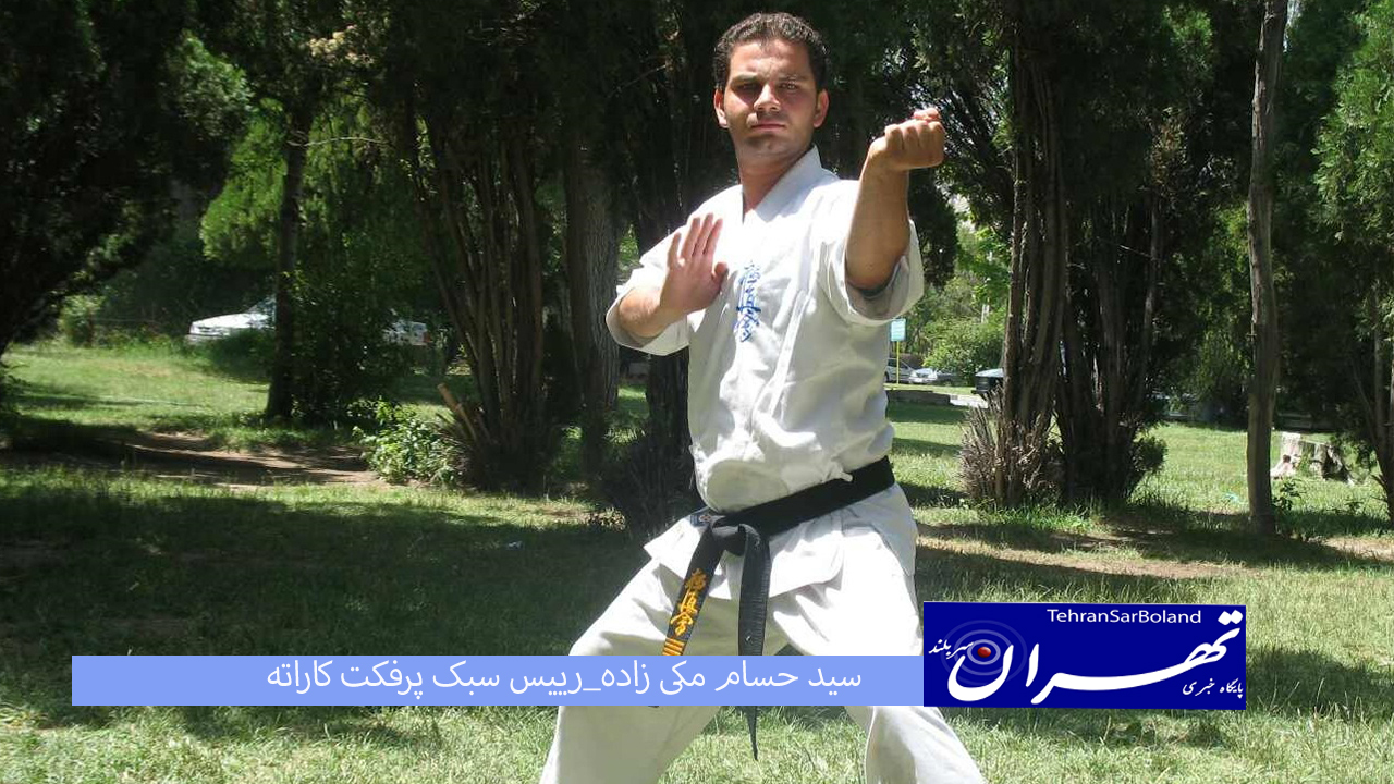 برنامه های ویژه برای گسترش کیوکوشین پرفکت کاراته
