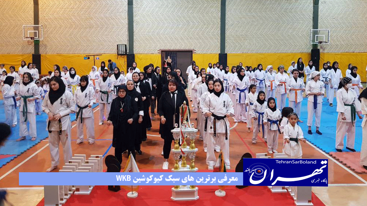 رقابت‌های کیوکوشین‌ WKB ایران با معرفی تیم‌های‌ برتر همراه شد.